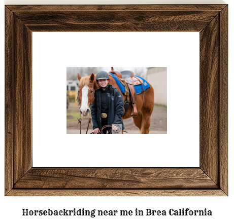 horseback riding near me in Brea, California